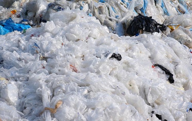 Plastic Bags and Films